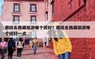 跟团去西藏旅游哪个团好？跟团去西藏旅游哪个团好一点