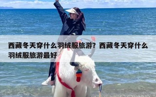 西藏冬天穿什么羽绒服旅游？西藏冬天穿什么羽绒服旅游最好