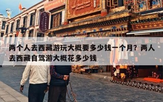 两个人去西藏游玩大概要多少钱一个月？两人去西藏自驾游大概花多少钱