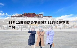 11月12日拉萨会下雪吗？11月拉萨下雪了吗