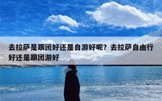 去拉萨是跟团好还是自游好呢？去拉萨自由行好还是跟团游好