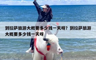 到拉萨旅游大概要多少钱一天呀？到拉萨旅游大概要多少钱一天呀