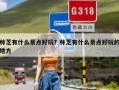 林芝有什么景点好玩？林芝有什么景点好玩的地方