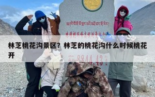 林芝桃花沟景区？林芝的桃花沟什么时候桃花开