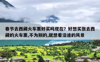 春节去西藏火车票好买吗现在？好想买张去西藏的火车票,不为别的,就想看沿途的风景