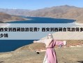 西安到西藏旅游花费？西安到西藏自驾游得多少钱