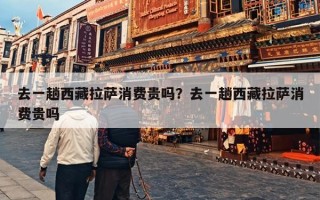 去一趟西藏拉萨消费贵吗？去一趟西藏拉萨消费贵吗