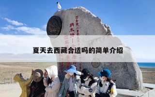 夏天去西藏合适吗的简单介绍