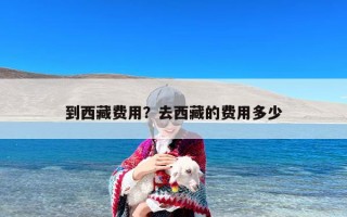 到西藏费用？去西藏的费用多少