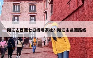 阳江去西藏七日找哪家社？阳江市进藏路线