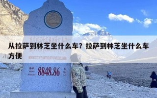 从拉萨到林芝坐什么车？拉萨到林芝坐什么车方便