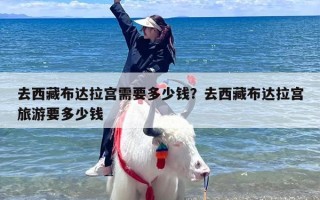 去西藏布达拉宫需要多少钱？去西藏布达拉宫旅游要多少钱