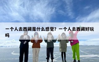 一个人去西藏是什么感觉？一个人去西藏好玩吗