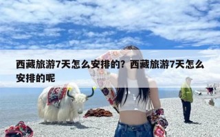 西藏旅游7天怎么安排的？西藏旅游7天怎么安排的呢