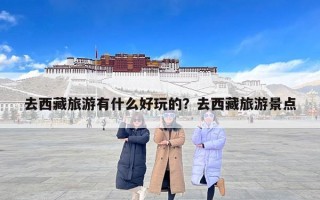 去西藏旅游有什么好玩的？去西藏旅游景点