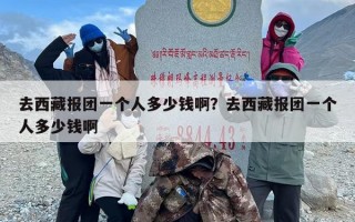 去西藏报团一个人多少钱啊？去西藏报团一个人多少钱啊
