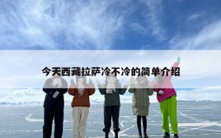 今天西藏拉萨冷不冷的简单介绍