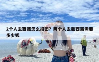 2个人去西藏怎么报团？两个人去趟西藏需要多少钱