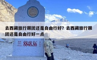 去西藏旅行跟团还是自由行好？去西藏旅行跟团还是自由行好一点