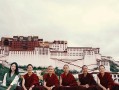 杭州去西藏怎么跟团便宜