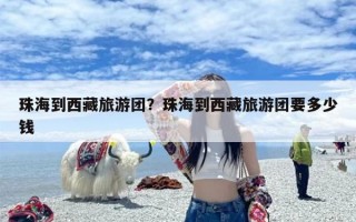 珠海到西藏旅游团？珠海到西藏旅游团要多少钱