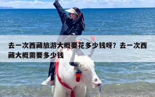 去一次西藏旅游大概要花多少钱呀？去一次西藏大概需要多少钱