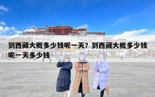 到西藏大概多少钱呢一天？到西藏大概多少钱呢一天多少钱