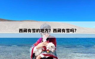 西藏有雪的地方？西藏有雪吗?