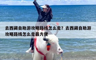 去西藏自助游攻略路线怎么走？去西藏自助游攻略路线怎么走最方便