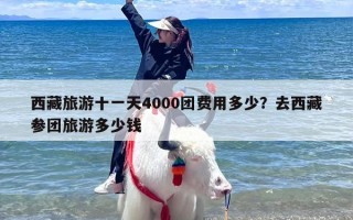 西藏旅游十一天4000团费用多少？去西藏参团旅游多少钱