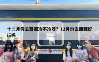 十二月份去西藏冷不冷呀？12月份去西藏好玩吗