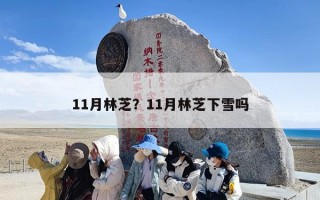11月林芝？11月林芝下雪吗