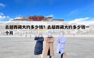 去趟西藏大约多少钱？去趟西藏大约多少钱一个月