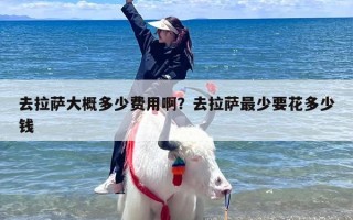 去拉萨大概多少费用啊？去拉萨最少要花多少钱