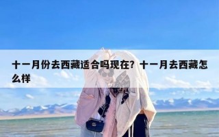 十一月份去西藏适合吗现在？十一月去西藏怎么样
