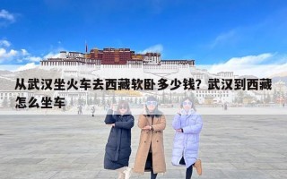 从武汉坐火车去西藏软卧多少钱？武汉到西藏怎么坐车