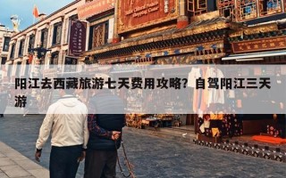 阳江去西藏旅游七天费用攻略？自驾阳江三天游