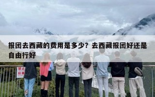 报团去西藏的费用是多少？去西藏报团好还是自由行好