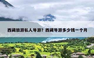 西藏旅游私人导游？西藏导游多少钱一个月