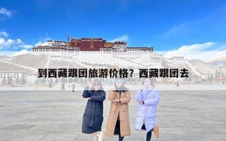 到西藏跟团旅游价格？西藏跟团去