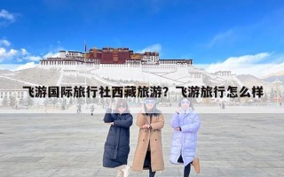 飞游国际旅行社西藏旅游？飞游旅行怎么样