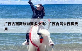 广西去西藏旅游要多少钱？广西自驾去西藏费用