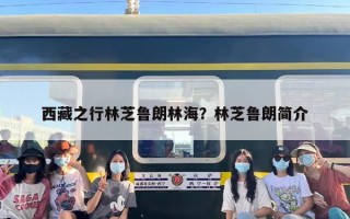 西藏之行林芝鲁朗林海？林芝鲁朗简介