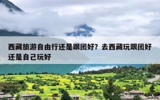 西藏旅游自由行还是跟团好？去西藏玩跟团好还是自己玩好
