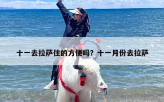 十一去拉萨住的方便吗？十一月份去拉萨