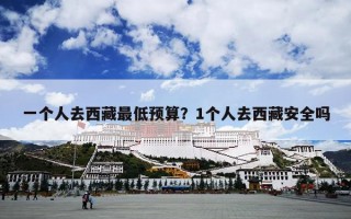 一个人去西藏最低预算？1个人去西藏安全吗