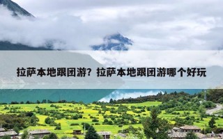 拉萨本地跟团游？拉萨本地跟团游哪个好玩