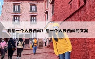 我想一个人去西藏？想一个人去西藏的文案
