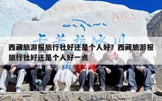 西藏旅游报旅行社好还是个人好？西藏旅游报旅行社好还是个人好一点