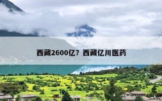 西藏2600亿？西藏亿川医药